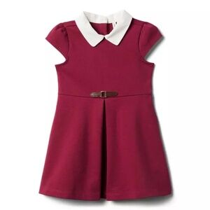 COLLARED PONTE DRESS